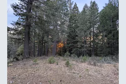 3000 Moody Ridge Road, Gold Run, CA 95717 - Photo 4