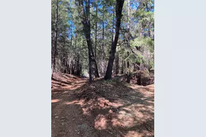 3000 Moody Ridge Road, Gold Run, CA 95717 - Photo 8