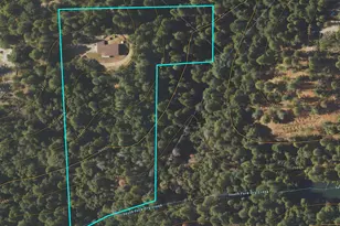 21640 Clute Cyn Rd, Volcano, CA 95689 - Photo 42