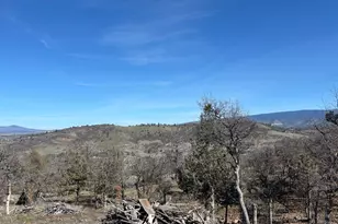 12230 Ponderosaa, Hornbrook, CA 96944 - Photo 28