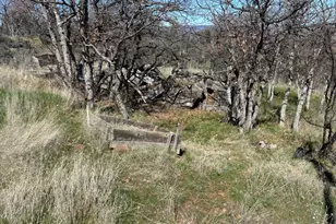12230 Ponderosaa, Hornbrook, CA 96944 - Photo 26