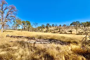 13031 Lone Tree Way, Loma Rica, CA 95901 - Photo 1