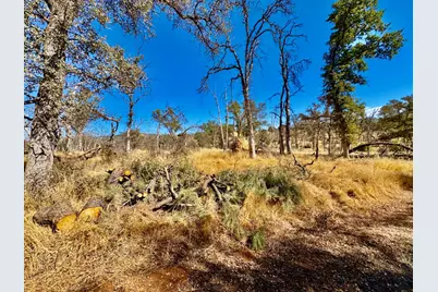 13031 Lone Tree Way, Loma Rica, CA 95901 - Photo 4