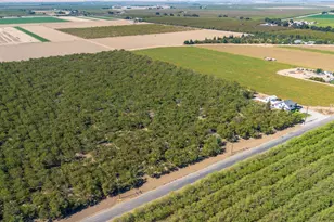 12407 Elm Ave, Patterson, CA 95363 - Photo 38