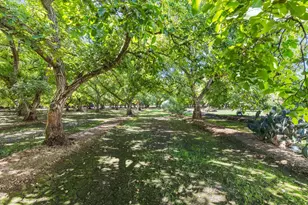 609 Meyers Ave, Gridley, CA 95948 - Photo 50