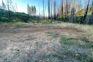 5095 Evergreen Dr, Grizzly Flats, CA 95636 - Photo 1