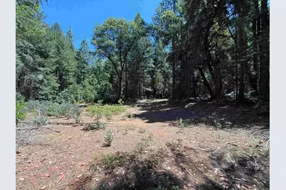22729 Tyler Foote Crossing Road, Nevada City, CA 95959 - Photo 8
