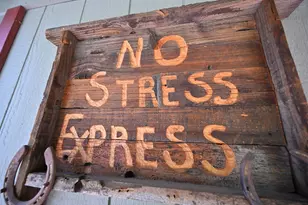 2573 Rose Ave, South Lake Tahoe, CA 96150 - Photo 48