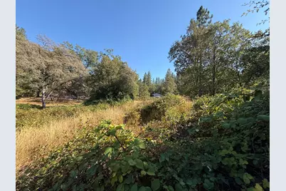 17898 Alexandra Way, Grass Valley, CA 95949 - Photo 14