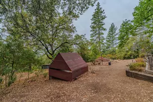 13825 Pine View, Pine Grove, CA 95665 - Photo 62