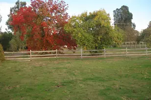 7029 W 4th St, Rio Linda, CA 95673 - Photo 60