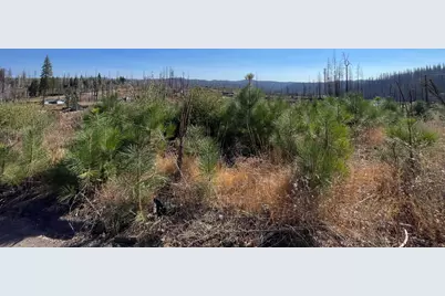 5190 Evergreen Drive, Grizzly Flats, CA 95636 - Photo 30