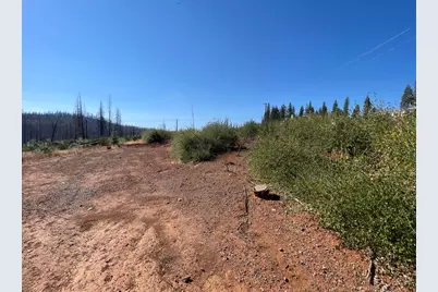 5190 Evergreen Drive, Grizzly Flats, CA 95636 - Photo 12