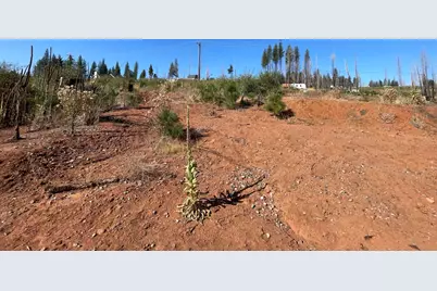 5190 Evergreen Drive, Grizzly Flats, CA 95636 - Photo 22