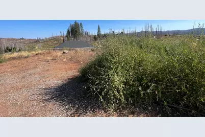 5190 Evergreen Drive, Grizzly Flats, CA 95636 - Photo 28