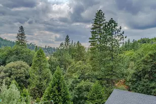 16001 N Cedar Heights Dr, Pioneer, CA 95666 - Photo 38