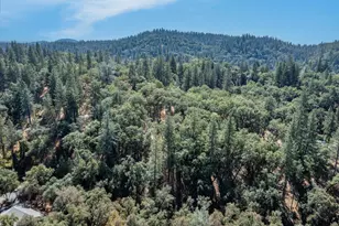 19635 Wolf Creek Rd, Grass Valley, CA 95949 - Photo 1