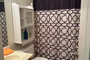 17360 Ferndale St, Lathrop, CA 95330 - Photo 20