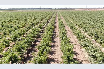 2001 W Woodbridge Road, Lodi, CA 95242 - Photo 28