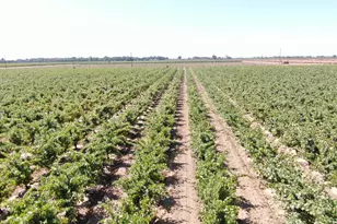 2001 W Woodbridge Rd, Lodi, CA 95242 - Photo 28