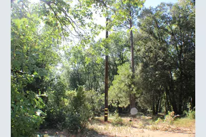 901 Bald Mountain Road, West Point, CA 95255 - Photo 18