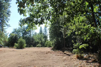 901 Bald Mountain Road, West Point, CA 95255 - Photo 12