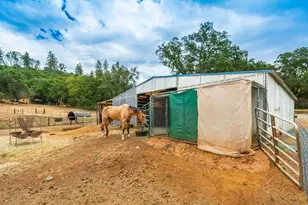 18000 W Clinton Rd, Jackson, CA 95642 - Photo 12