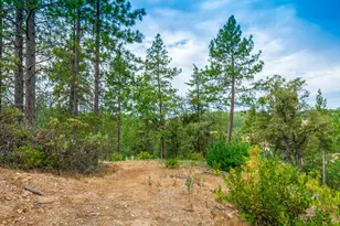 18000 W Clinton Rd, Jackson, CA 95642 - Photo 60