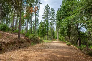 18000 W Clinton Rd, Jackson, CA 95642 - Photo 58