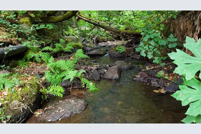 134 Boulder Street, Nevada City, CA 95959 - Photo 4
