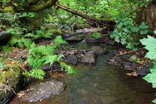 134 Boulder St, Nevada City, CA 95959 - Photo 4