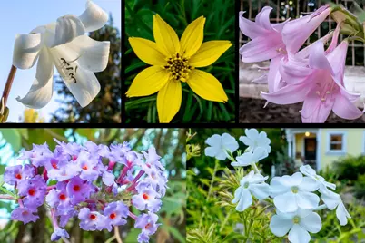 15026 Wabash Avenue, Grass Valley, CA 95945 - Photo 86