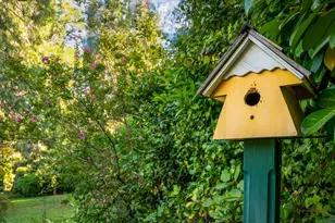 15026 Wabash Ave, Grass Valley, CA 95945 - Photo 82