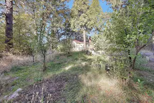 28110 Sweetland Rd, North San Juan, CA 95960 - Photo 42