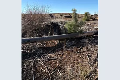 6855 E Tyler Drive, Grizzly Flats, CA 95636 - Photo 6