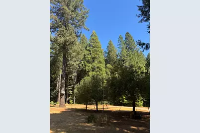 138 Big Fir Road, Forbestown, CA 95941 - Photo 8