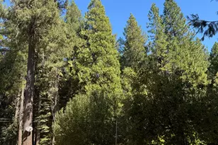 138 Big Fir Rd, Forbestown, CA 95941 - Photo 8