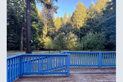138 Big Fir Road, Forbestown, CA 95941 - Photo 46