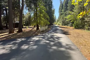 138 Big Fir Rd, Forbestown, CA 95941 - Photo 4