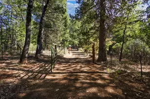 21800 Cedar Ridge Rd, Manton, CA 96059 - Photo 36