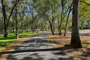 3790 Ponderosa Rd, Shingle Springs, CA 95682 - Photo 40