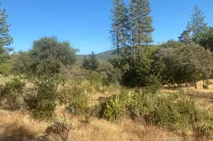 13911 Ingersoll Dr, Dobbins, CA 95935 - Photo 1