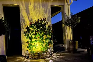 4750 Peace Lily Ln, Roseville, CA 95747 - Photo 38