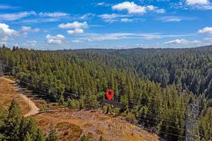 2160 Nelson Rd, Camino, CA 95709 - Photo 60