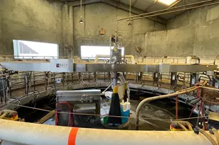 21330 2nd Ave, Stevinson, CA 95374 - Photo 10