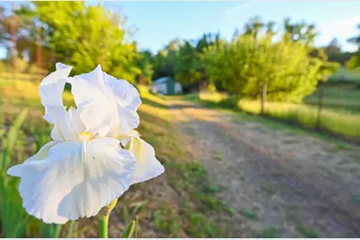 13930 Fiddletown Road, Fiddletown, CA 95629 - Photo 62