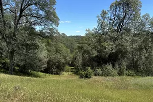 12787 Country Heights Dr, Penn Valley, CA 95946 - Photo 1