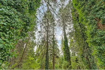 2990 Spruce Court, Pollock Pines, CA 95726 - Photo 18