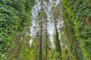 2990 Spruce Ct, Pollock Pines, CA 95726 - Photo 18