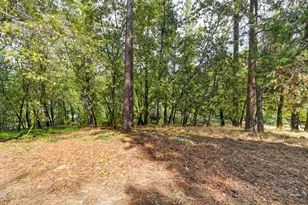 950 Pine Hill Road, Colfax, CA 95713 - Photo 54